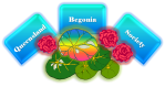 Queensland Begonia Society Logo