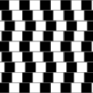 Optical Illusion 13
