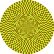 Optical Illusion 28