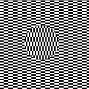 Optical Illusion 29