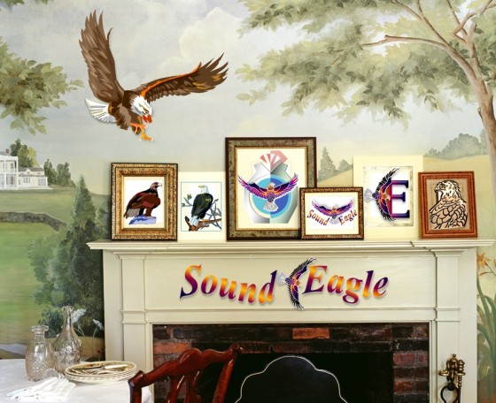 SoundEagle in Art and Decor