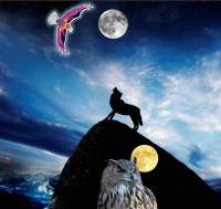 SoundEagle in Full Moon, Sky, Mountain and Wolf
