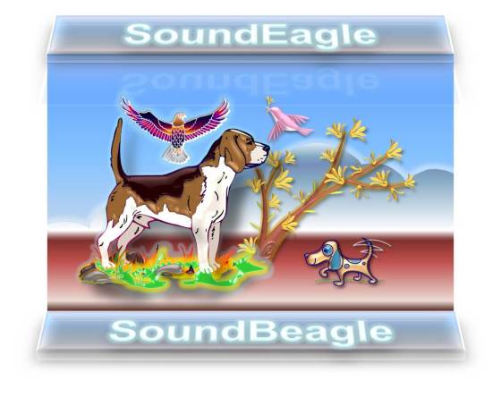 SoundEagle Introducing SoundBeagle