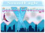 SoundEagle in Happy New Year and Season Greetings with City Skyline, Mountains, Spotlights and Fireworks
