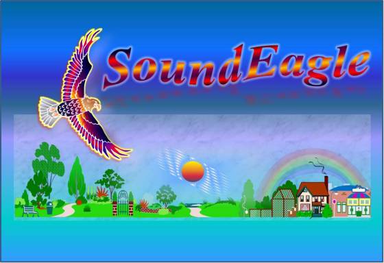 SoundEagle in Sound, Society and Environment