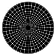 Optical Illusion 41