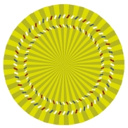 Optical Illusion 55