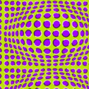 Optical Illusion 65