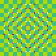 Optical Illusion 71