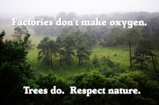 Factories don't make oxygen. Trees do. Respect nature.