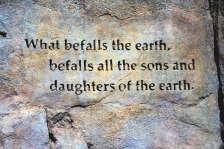 “What befalls the earth, befalls all the sons and daughters of the earth.” ― Ted Perry